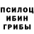 Галлюциногенные грибы Cubensis Leonid Sverdlik