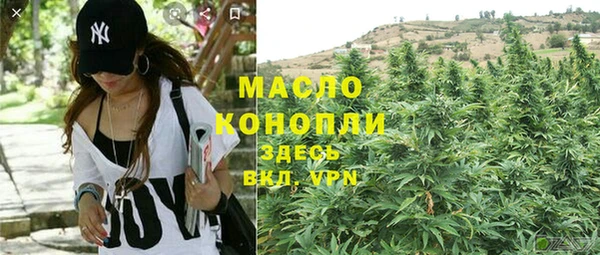 ECSTASY Инсар