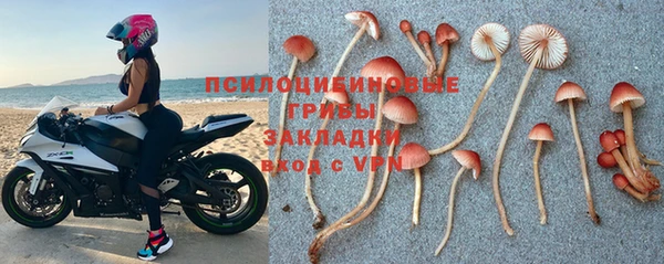 соль ск Иннополис