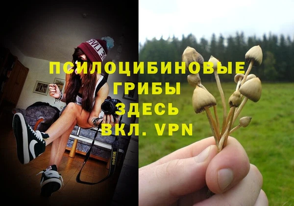 ECSTASY Инсар
