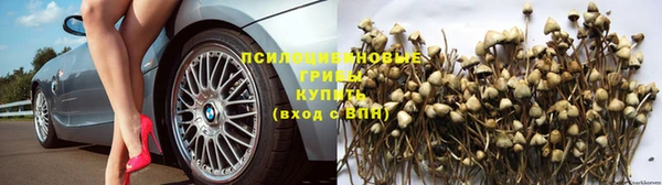 ECSTASY Инсар